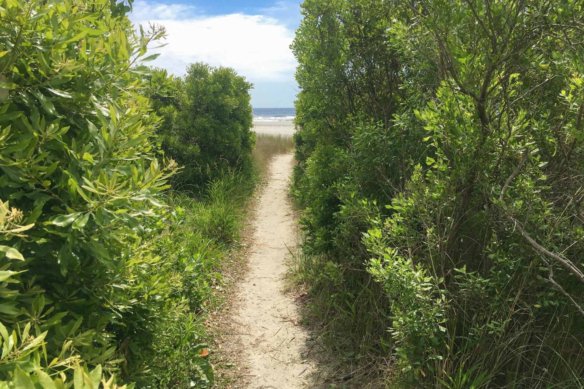 Dunes Pointe D-3 Myrtle Beach Eksteriør bilde
